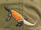 Chuckwalla Embroidered Cotton Cap New Lizard Hat
