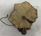 Ken Arensbak 3    Handmade Mini Hole In Log Troll  Crosby  Tx C5