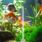 Mipcase Shrimp Feeding Tube And Dish Set - Clear Glass Aquarium Feeder With S   