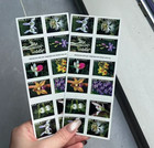 Mint Us 2020 Forever  Wild Orchids Stamps Scott 5435-44 - Mnh-100 Pcs Stamps