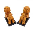 Pair Of 5 5  Feng Shui Pi Yao Pi Xiu Pi Sou Statues