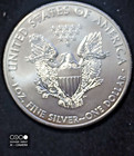 Beautiful 2014 Walking Liberty American Eagle  999 Fine Silver Dollar Coin 1oz 