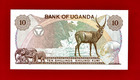 Uganda Rare Ten 10 Shillings Shilingi Kumi 1979 Uncirculated Banknote  pick-11b 