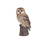 Soreal Brown Owl On Branch   Handcrafted Decorative Bird Statue