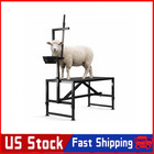 Livestock Stand Goat Trimming Stand 35x23 Inch Livestock Stand W  Headpiece
