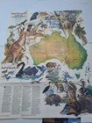 Vintage National Geographic Traveler Maps Lot Land Of Living Fossils Under Siege