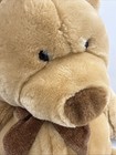 Animal Alley    hughbert    Teddy Bear  Large 25    Plush  Toys    r    Us Vtg  2000 Nice 