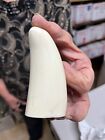 Blank Sperm Whale Replica Tooth Ready To Scrimshaw  00