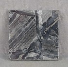 Seymchan Meteorite Slice 16 5 Grams