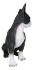 Large Realistic Tuxedo Boston Terrier Statue 15 tall Animal Dog Collectible