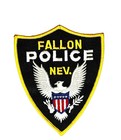 Vintage 1989 Fallon Police Nv Patch Cheesecloth Backing Nos Obsolete Shield