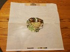 Vintage Cs545 Brunswick Needlepoint Screen Stamped Canvas Fruit Unused