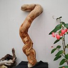 Long Twisted Driftwood Branch Woodworking Diy Decor Craft Wood 
