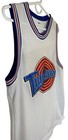Space Jam Looney Tunes Tune Squad Basketball Jersey Lola Bunny Women   s Medium