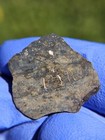 Meteorite  nwa 13788  Lunar Melt Breccia  1 646 Gram Lunar Individual   