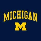 Official Ncaa Team Color Arch Logo Hoodie - Licensed College University