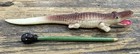 Black Americana 1930 40s Celluloid Alligator Pencil Holder   Small Baby Figurine