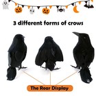 3 Pcs Black Feathered Crows 2 8 Inches X 9 4 X 5 1 Inches 