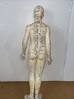 Vintage Chinese Acupuncture Doll 17    Tall No Stand