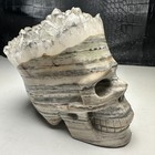 479g Natural Crystal Cluster Quartz carved Crystal Skull  Realistic healing cs