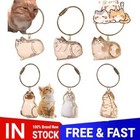 Cat Keychain Hair Storage Bottle Transparent Cat Hair Storage Box Pendants 6pack