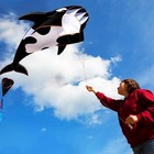 57-inch Outdoor Single Line Whale   Dolphin Kite Animal Toy With 14cm Wheel