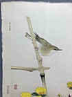 Fukuda Suiko Woodblock Print    japanese Bush Warbler And Amur Adonis    Unsodo