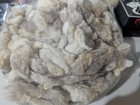 Sale Washed Jacob Sheep Fiber Fleece Spinning Weaving Felting Picked Clean
