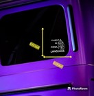 Fluent In Fowl Language - Vinyl Decal Sticker Car Window Wall Bumper Funny Chick