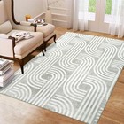 Modern Washable Rugs  5x7 Living Room Rug Soft Indoor Non Slip Floor Carpet  
