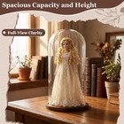 16      8 66   Glass Dome Cloche Display With Wood Base  Clear Display Jar