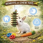 Grddaef 20 Pcs Natural Bunny Chew Toys