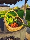 Extra-large Wicker Basket   Two-tone Willow Trug For Foraging   Flower Gathering
