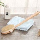 Natural Bath Brush With Long Wooden Handle Shower Body Brush Shower Back