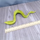 Safari Moray Eel Toy Figure Sea Creature