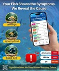 Digital Aquarium Water Test Kit  App-enabled 10-in-1 Freshwater   Saltwater A   