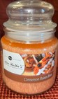 Mia Bella  Cinnamon Raisin Bun 16oz Candle Seasonal Double Wick New Holiday
