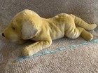 Jumbo  22in Realistic Fao Schwarz Golden Lab Plush Laying Down Plastic Nose