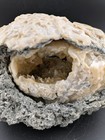 5  Mercenaria Permagna Clam Fossil Golden Calcite Crystal Rucks Pit Florida A