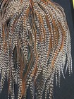 Grizzly Barred Variant Rooster Saddle Fly Tying Hackle Craft Jewelry Feathers 