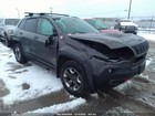 Cherokee  2019 Antenna 313878
