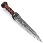 White Deer Gladiator Damascus Steel Short Sword dagger Cocobolo Wood Handle