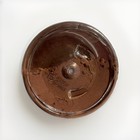 Plexus Restore Cellular Detox Support For Whole Body Health Lemon Berry Flavor