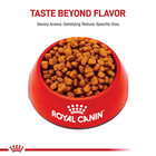 Royal Canin Adult Dry Dog Food - Yorkshire Terrier Breed Health Nutrition 10lb