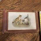 Vintage  Cat Kitten Scrapbook Photo Album Journal 6 5 x4 25 