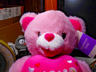 2026 Walmart Valentines Bear Pink Girl 13 Inches Tall Xoxo