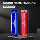 Conjurer 10 Hole Diatonic Harmonica C Key Blues Harp Mouth Organ For Beginner