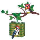 C s Products 12583 Mealworm Delight Wild Bird Beef Suet 11 75 Oz   pack Of 12 