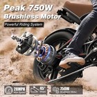 Varun 20   Fat Tire Electric Bike Peak 750w Up To 65 miles E-bike For Adults