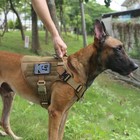  Tactical Dog Harness  Large Size 2x Metal Buckle working Dog Molle Vest With